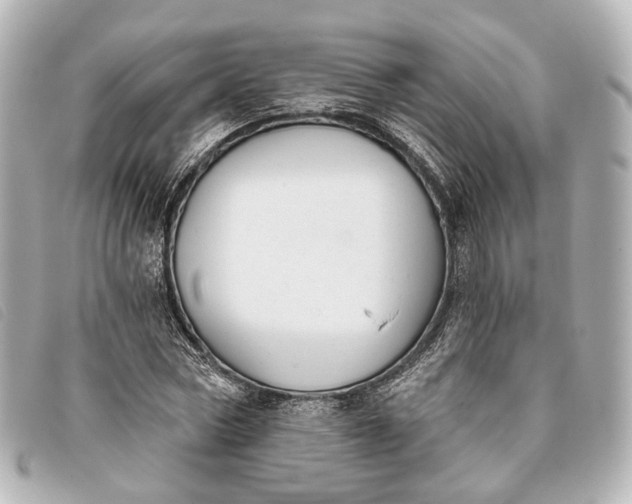 X0000093360778200710251130