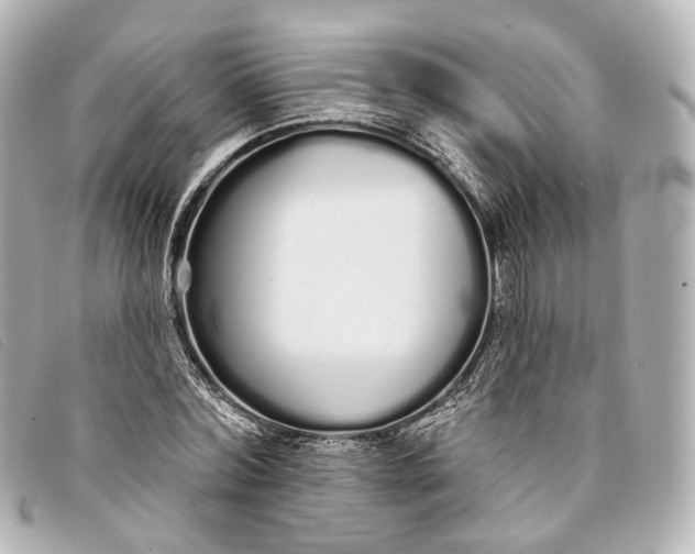 X0000093360780200710251130