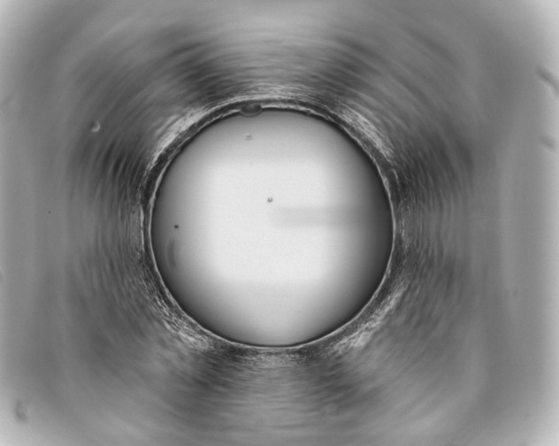 X0000093360781200710251130
