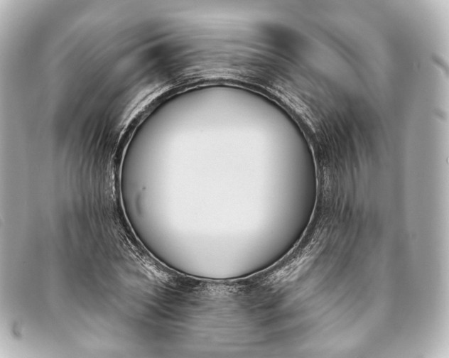 X0000093360782200710251130