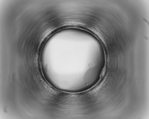 X0000093360783200710251130