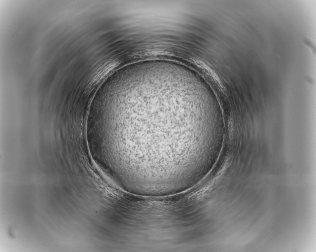 X0000093360785200710251130