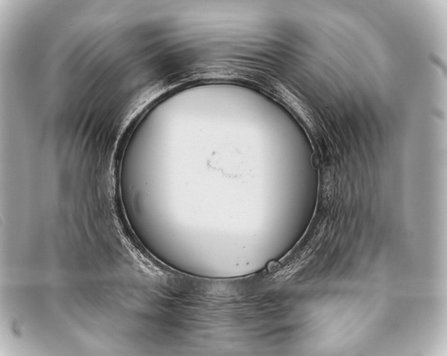 X0000093360787200710251130