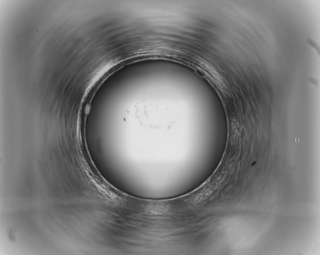 X0000093360788200710251130