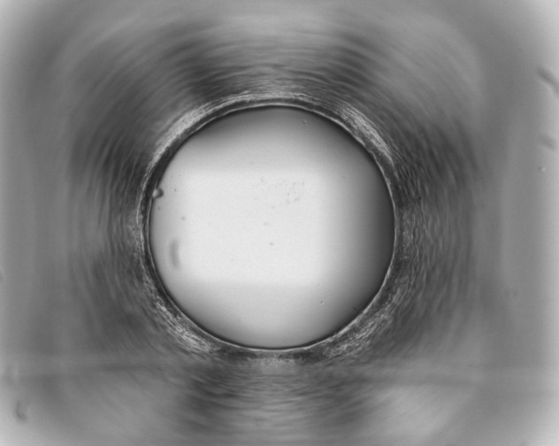 X0000093360789200710251130
