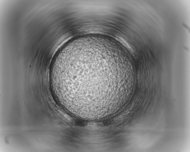 X0000093360790200710251130