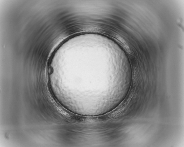 X0000093360796200710251130