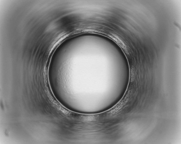X0000093360798200710251130