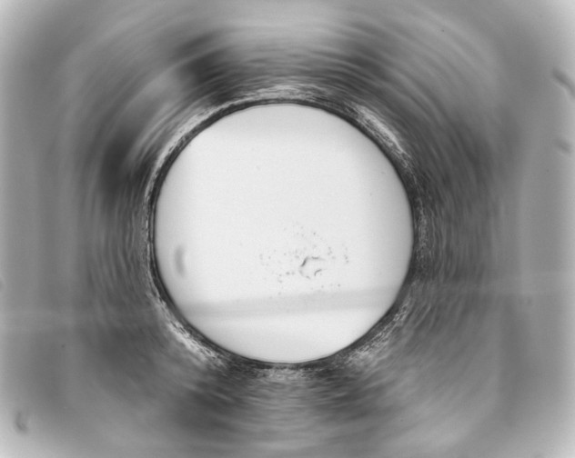 X0000093360800200710251130