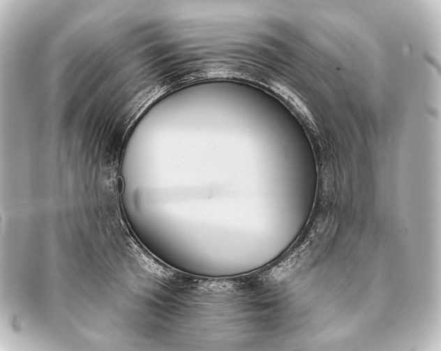 X0000093360801200710251130