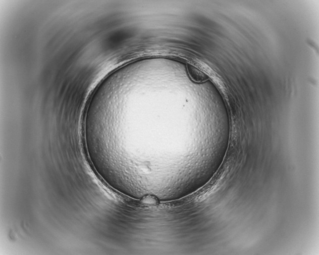 X0000093360803200710251130