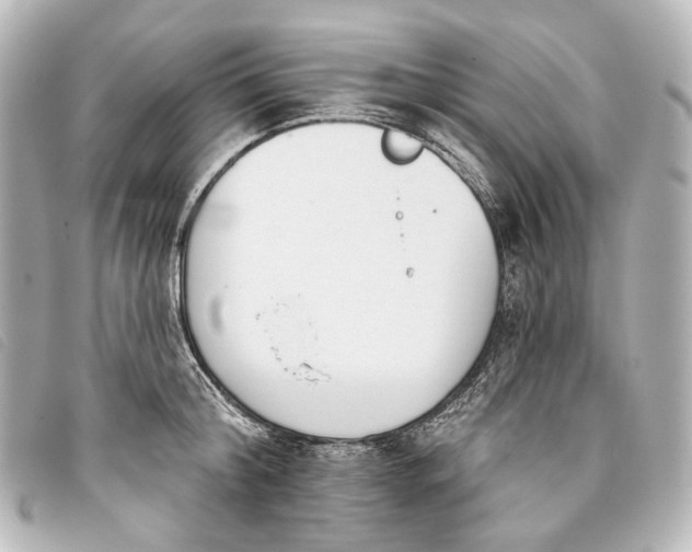X0000093360804200710251130