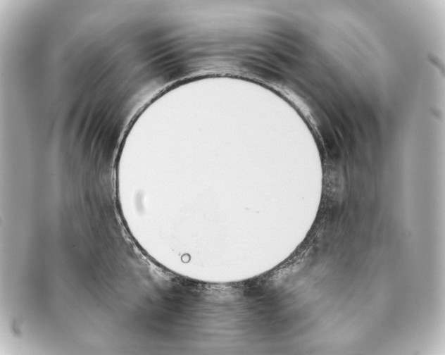 X0000093360807200710251130