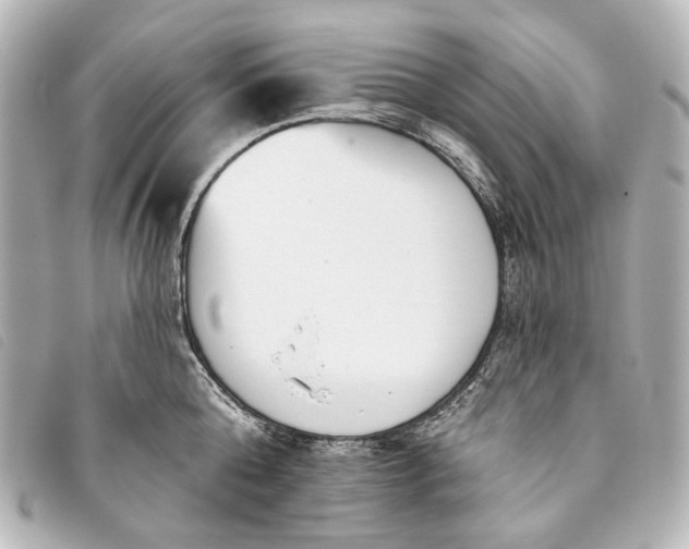 X0000093360808200710251130