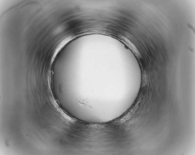 X0000093360812200710251130
