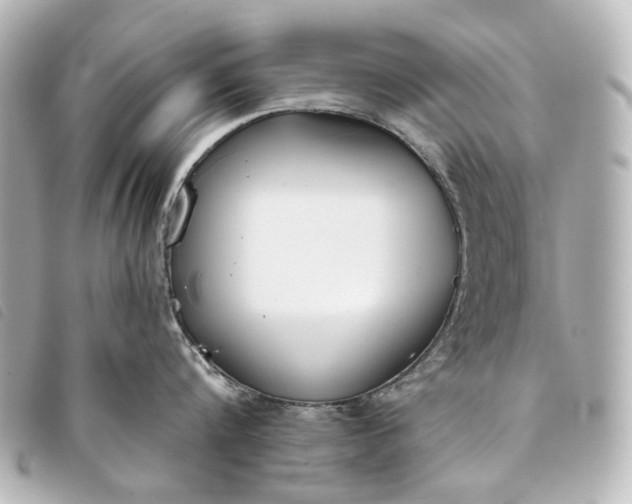 X0000093360816200710251130