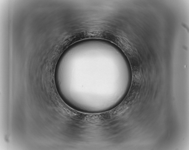 X0000093360817200710251129