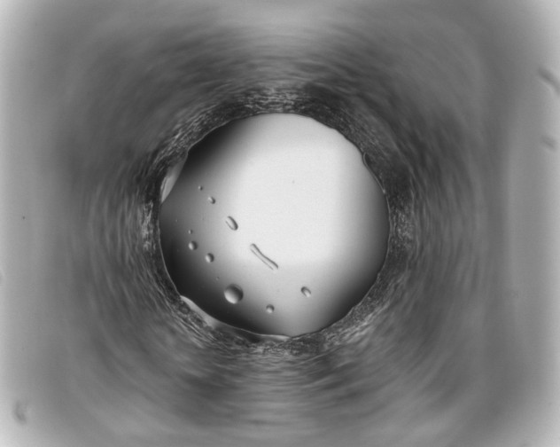 X0000093360818200710251129