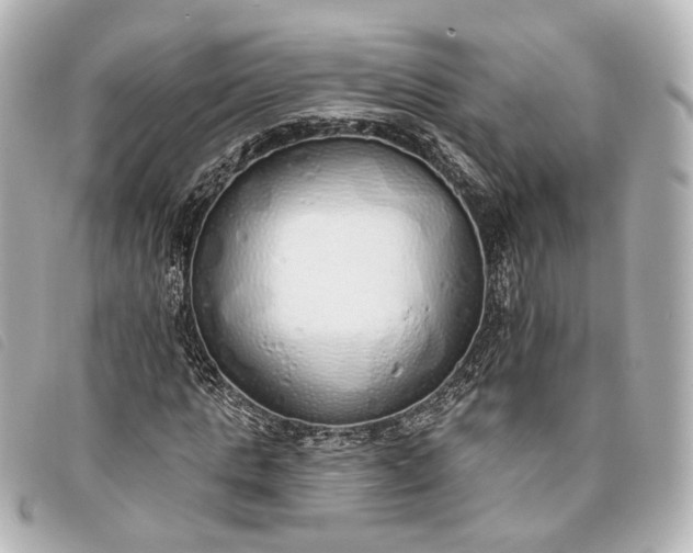 X0000093360821200710251129