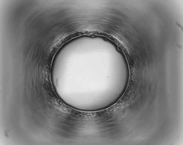 X0000093360823200710251129