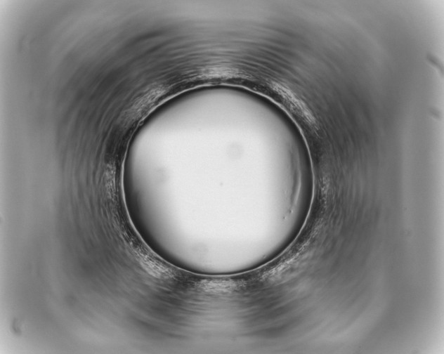 X0000093360825200710251129