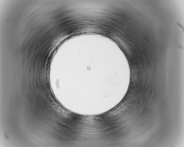 X0000093360828200710251129
