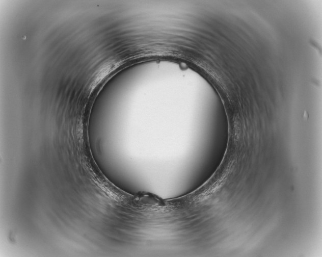 X0000093360834200710251129