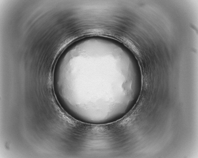 X0000093360839200710251129