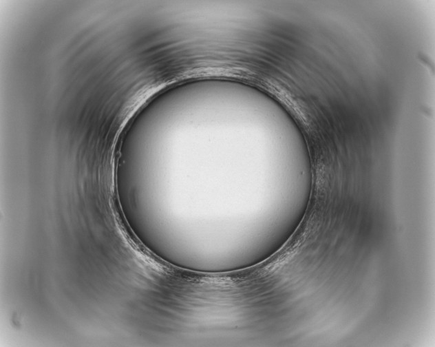 X0000093360844200710251129