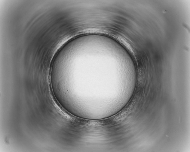X0000093360847200710251129