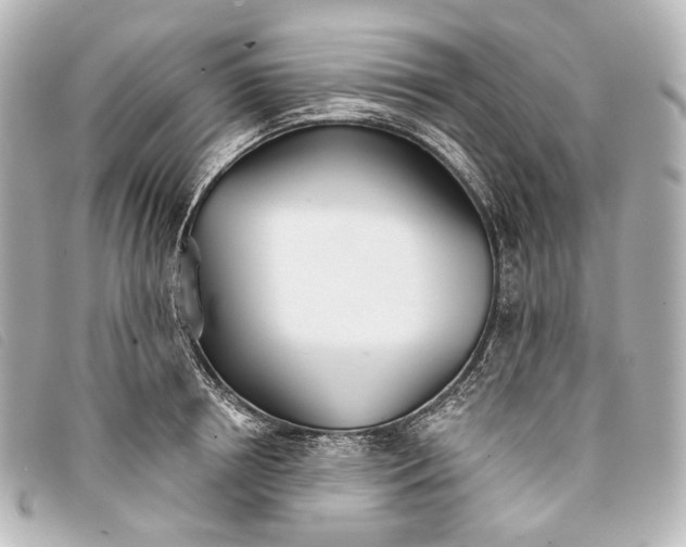 X0000093360850200710251129