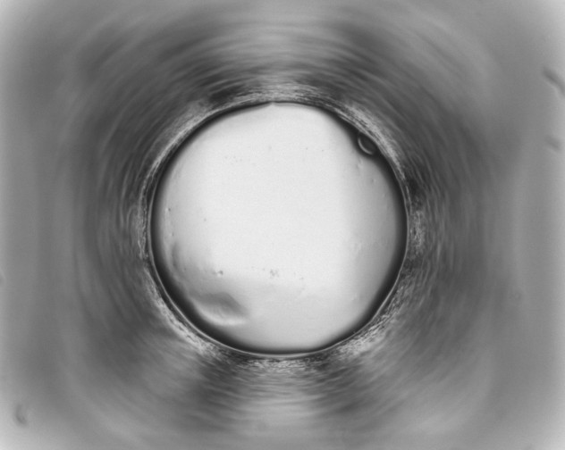 X0000093360851200710251129