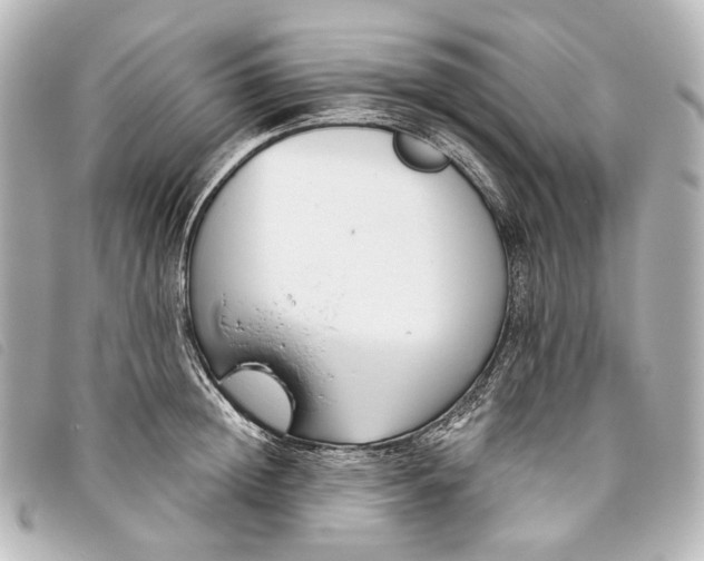 X0000093360852200710251129