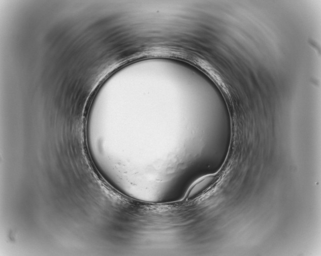 X0000093360853200710251129