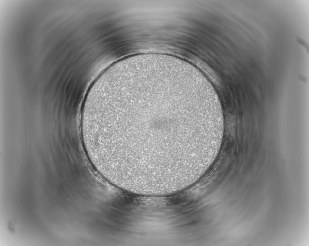 X0000093360856200710251129