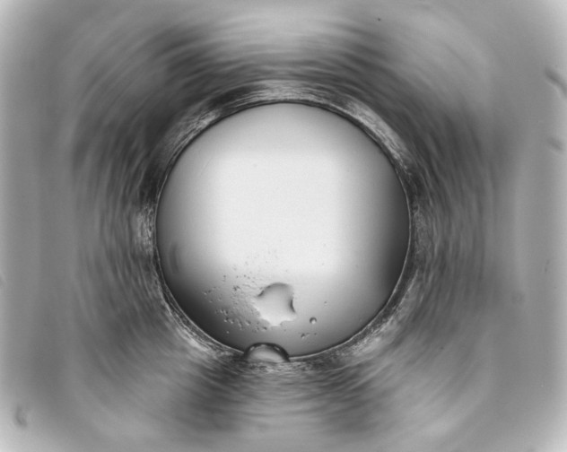 X0000093360857200710251129