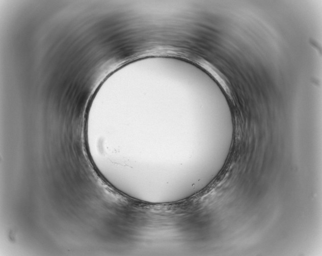 X0000093360861200710251130