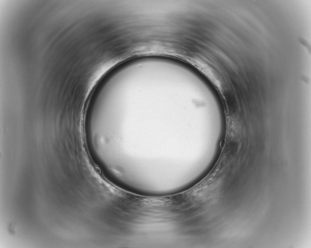 X0000093360863200710251130