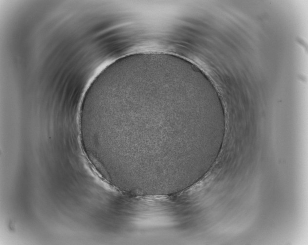 X0000093360864200710251130