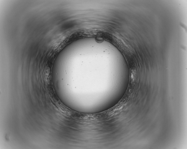 X0000093360867200710251129