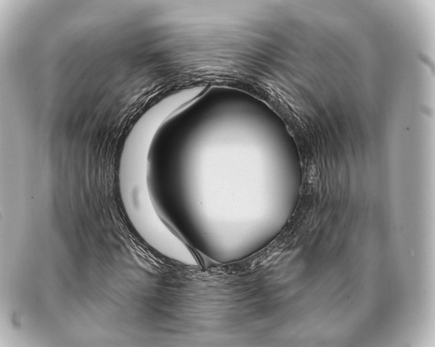X0000093360868200710251129