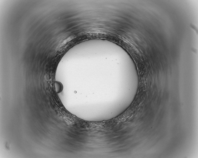 X0000093360870200710251129