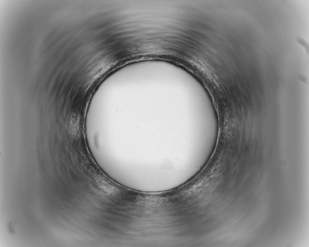 X0000093360873200710251129