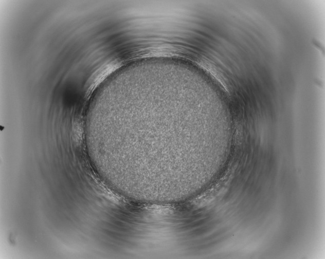 X0000093360874200710251129