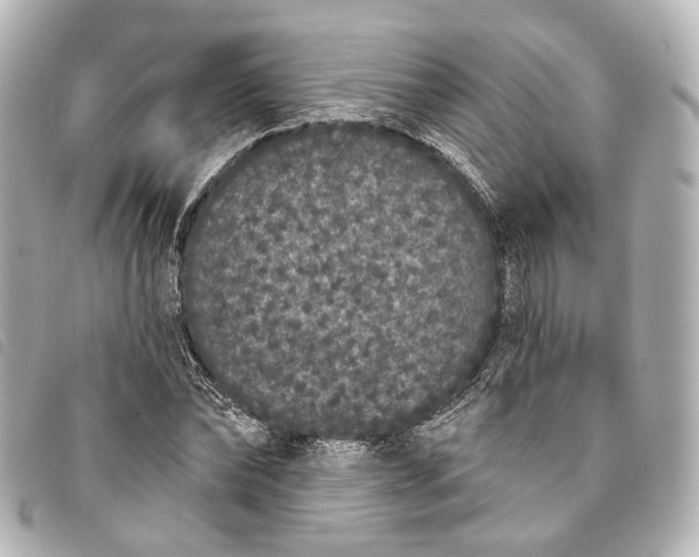 X0000093360878200710251129