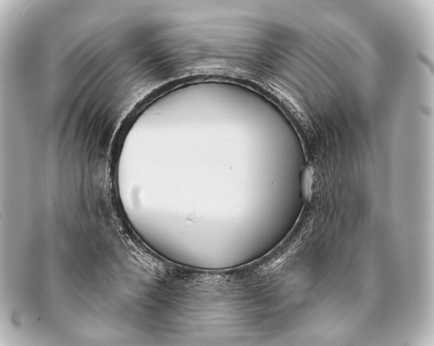 X0000093360880200710251129