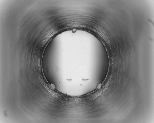 X0000093360881200710251128