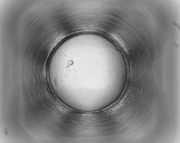 X0000093360883200710251128