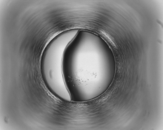 X0000093360884200710251128