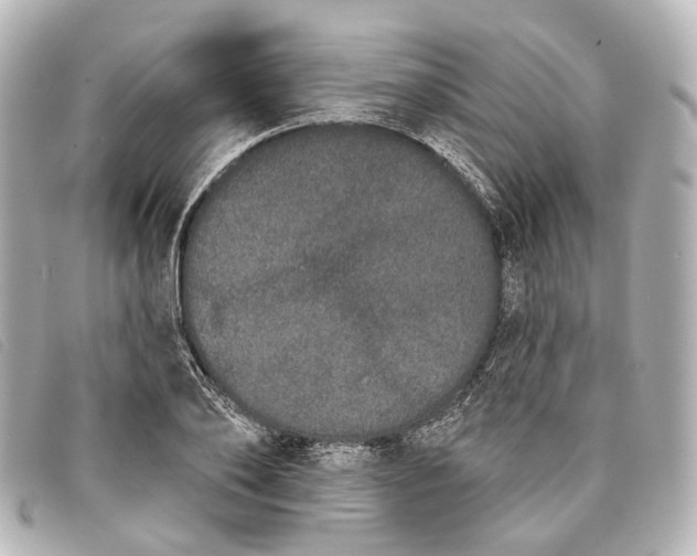 X0000093360886200710251128